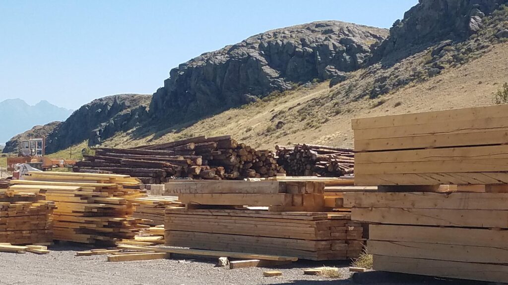 Mountain Valley Lumber Douglas Fir Rough Cut Timber Hand Made Board Game Stewart Losee
